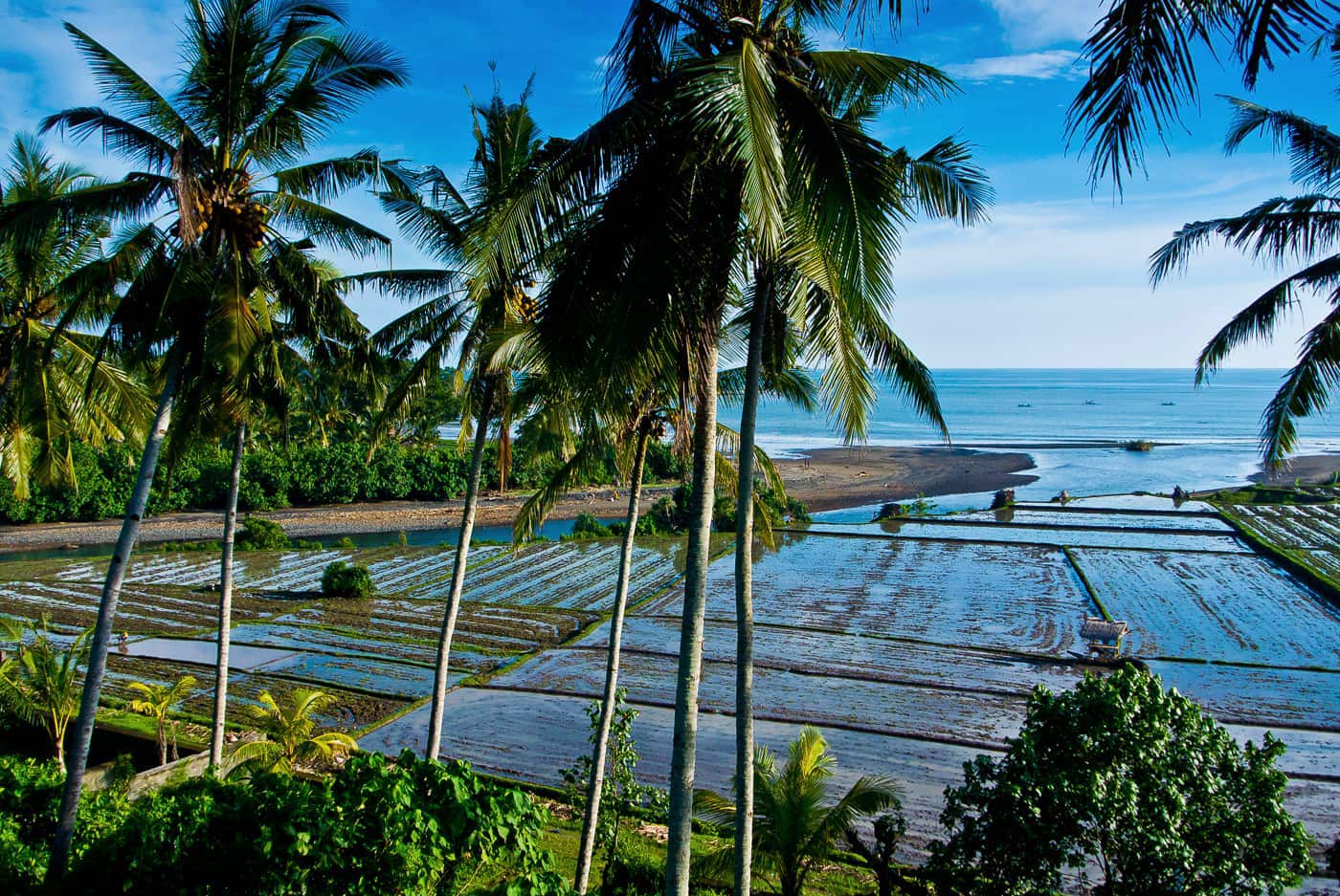 Slide Image