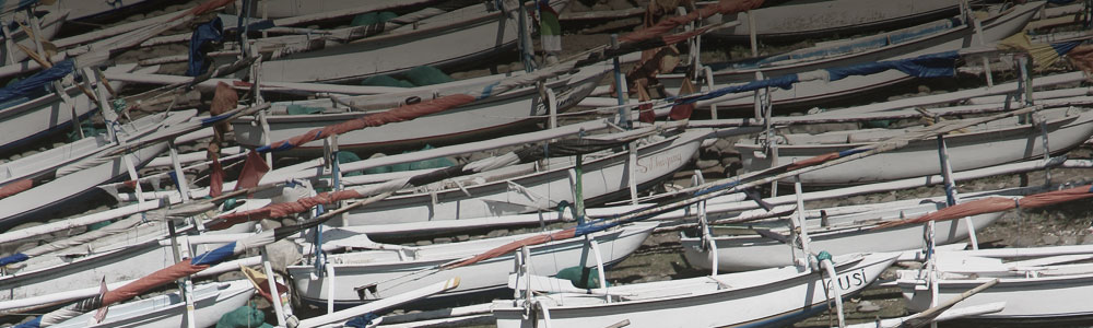 Amed Bali